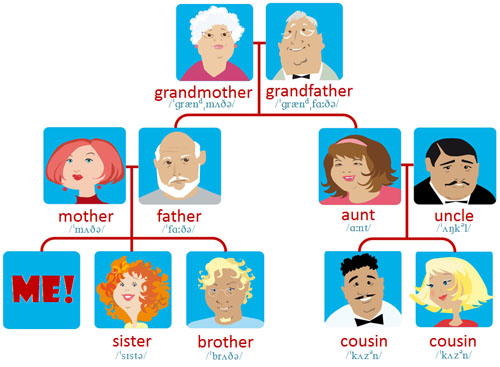 family tree 2