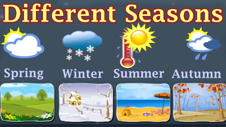 different seasons